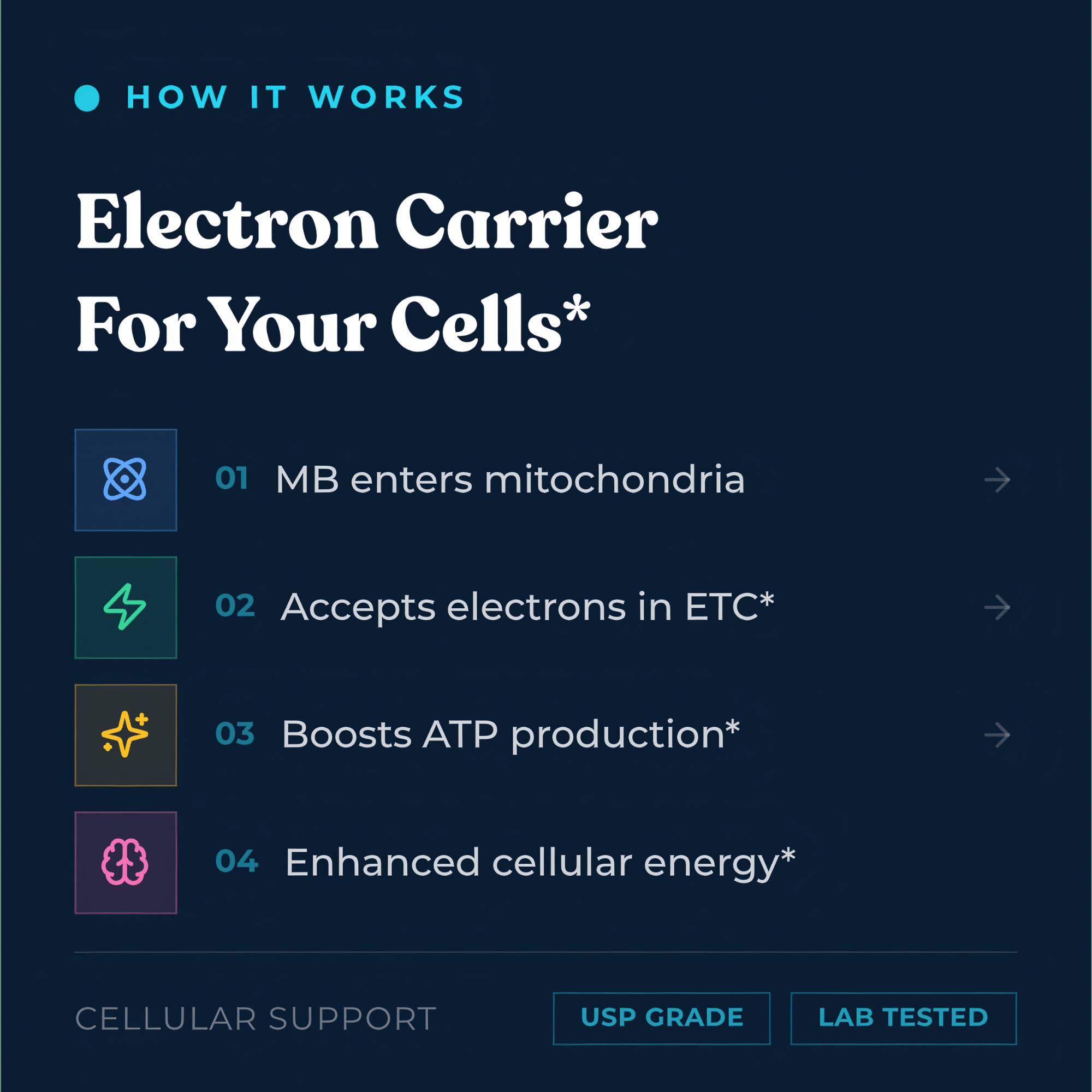 Optimal Human - USP Grade Methylene Blue (Fresh Mint) — Navy 'How It Works' infographic titled 'Electron Carrier For Your Cells' with numbered steps '01 MB enters mitochondria, 02 Accepts electrons in ETC, 03 Boosts ATP production, 04 Enhanced cellular energy,' USP Grade and Lab Tested badges
