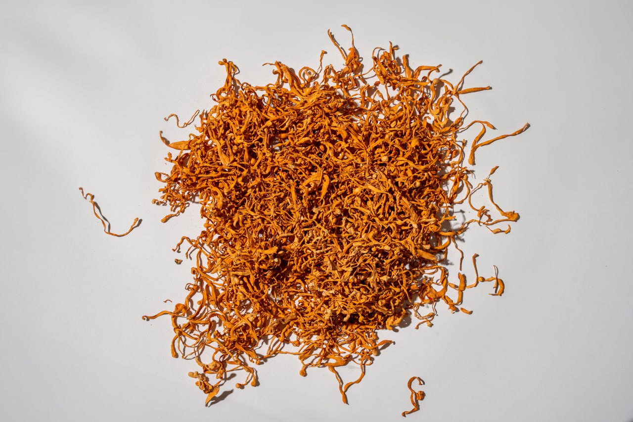 Cordyceps Mushroom Supplements
