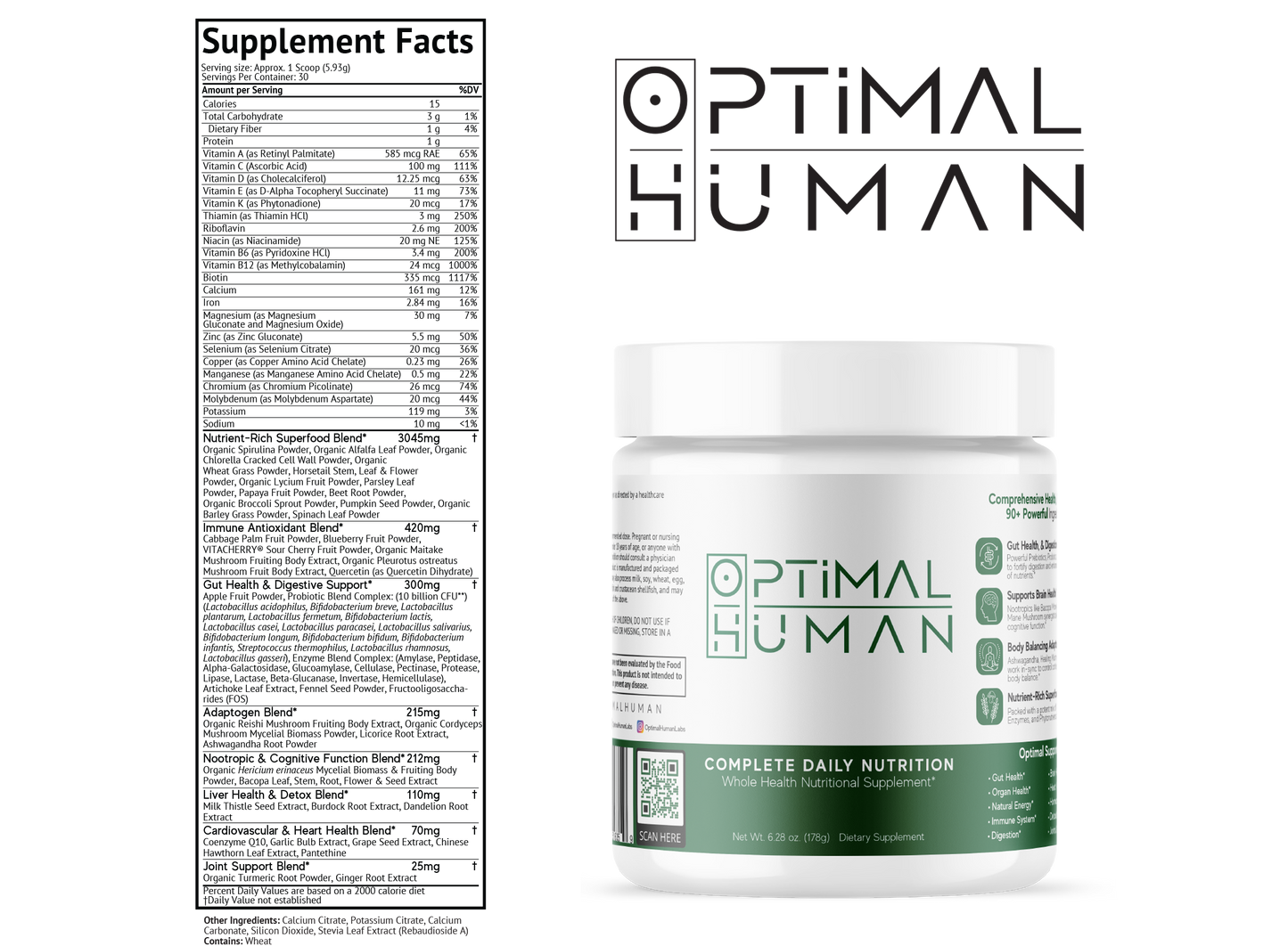 Optimal Human