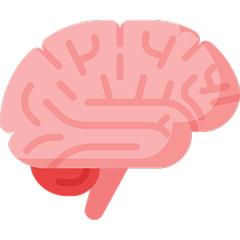 BRAIN HEALTH