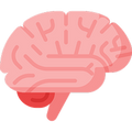 Brain Health