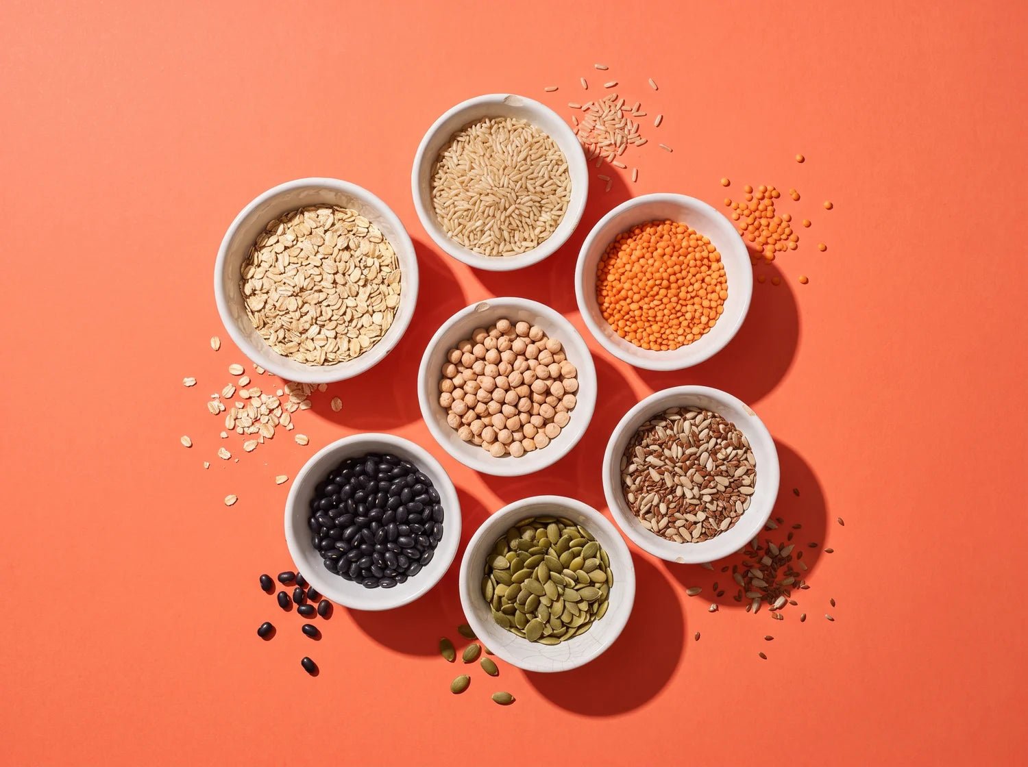 Seven small white bowls of oats, rice, lentils, chickpeas, beans and seeds, studio still life on coral paper